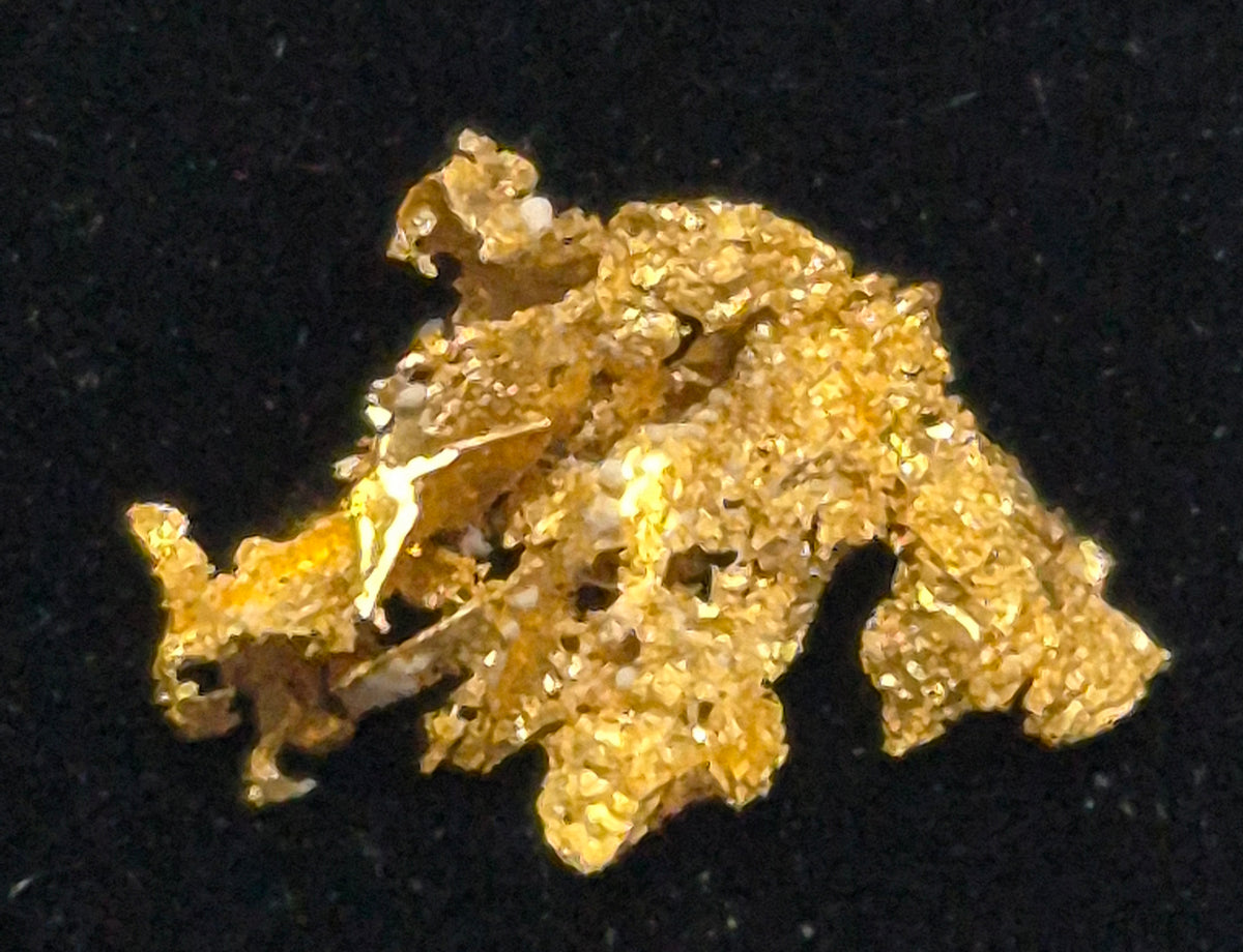 Specimen Grade Crystalline California Gold 0.15g SP #1
