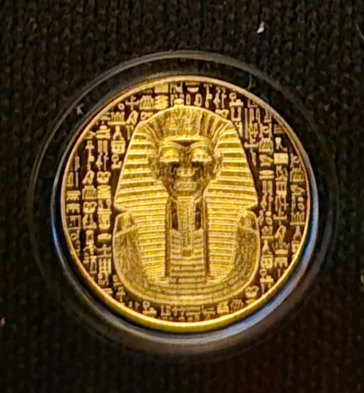 Gold Coins and Gold Bars