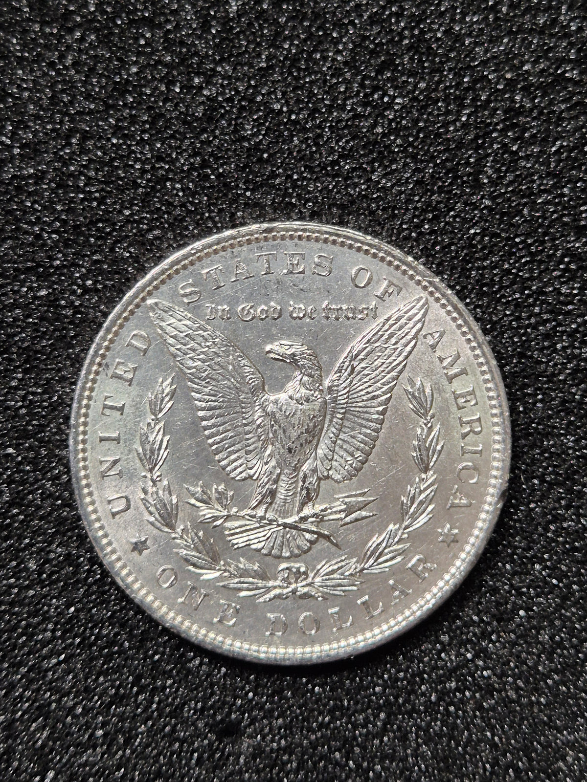 Morgan Dollar (Random Date of Our Choice)