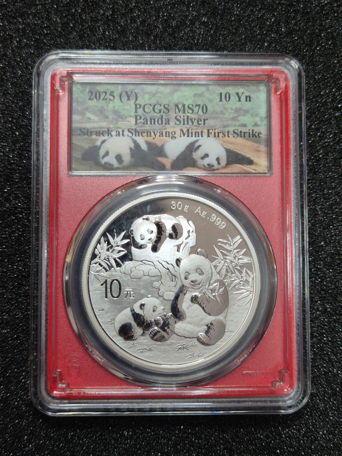 2025 10 Yuan Silver Panda First Strike Red Core - 30g - PCGS MS70